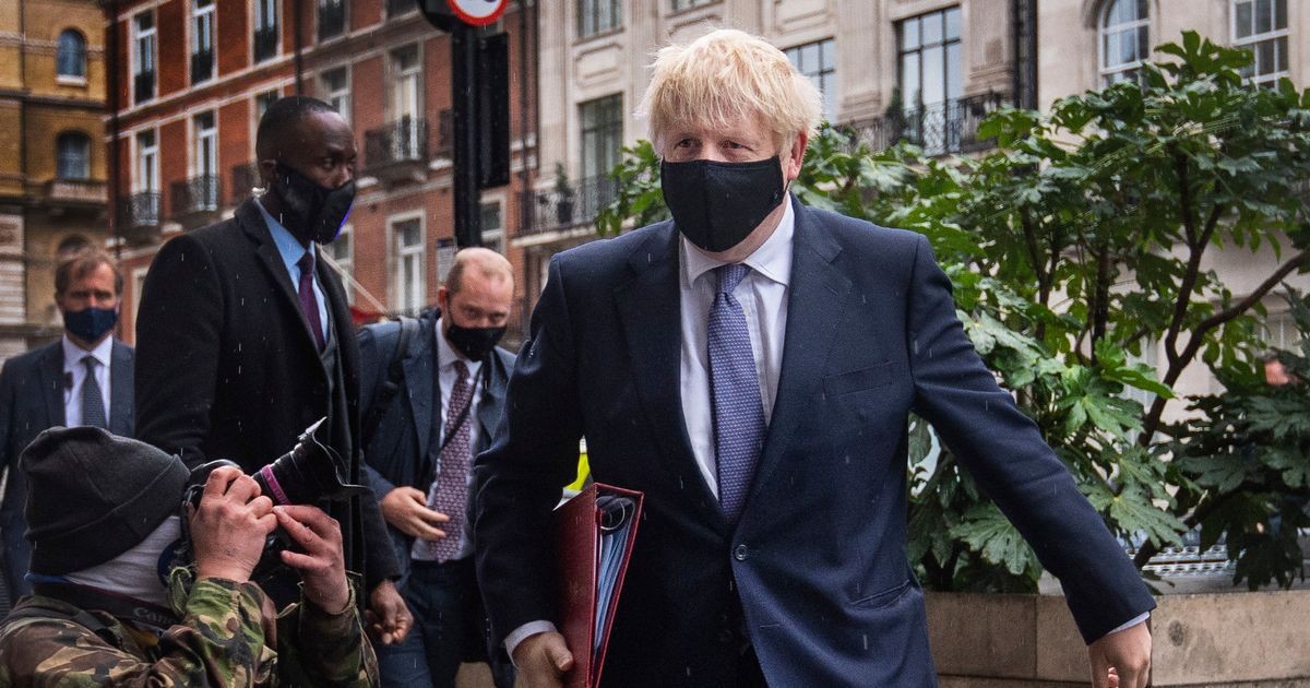 Political & Public Appearances